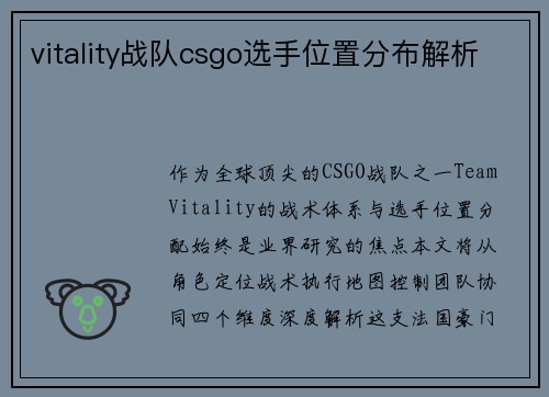 vitality战队csgo选手位置分布解析