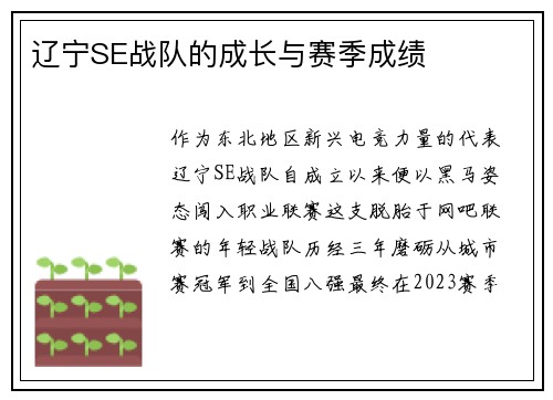 辽宁SE战队的成长与赛季成绩