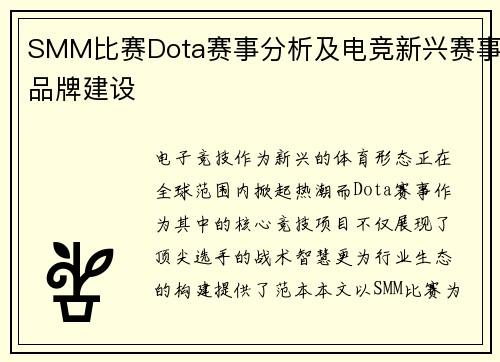 SMM比赛Dota赛事分析及电竞新兴赛事品牌建设